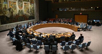Plusieurs pays soutiennent les sanctions imposées par le Conseil de sécurité