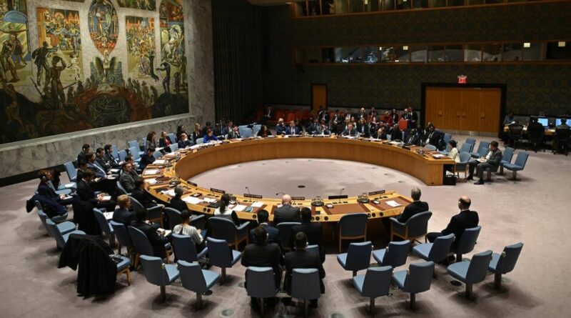 Plusieurs pays soutiennent les sanctions imposées par le Conseil de sécurité